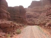 trail_with_a_view