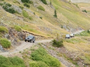 jeeps