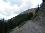 shelf_road