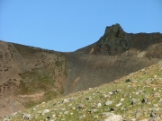 hurricane_peak