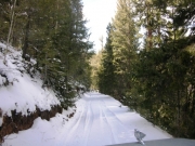snowy_trail