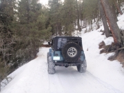 matt_on_the_trail_part_2