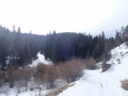 snow_on_the_trail