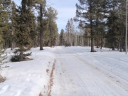 trail_part_1