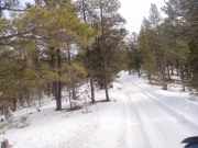trail_part_2