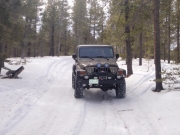 walt_on_the_trail_part_1