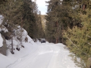 walt_on_the_trail_part_2