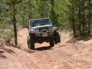 bill_up_the_north_hill_part_3