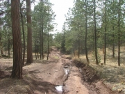 deep_trenches