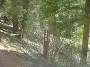 forest_service_sign_1