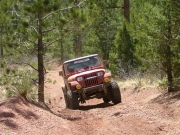 mark_up_the_north_hill_part_3