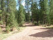 mellow_trail_on_north_end
