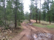 muddy