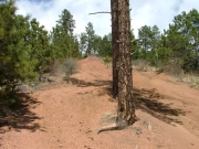 north_hill_part_1