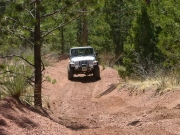 todd_up_the_north_hill_part_2