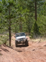todd_up_the_north_hill_part_3