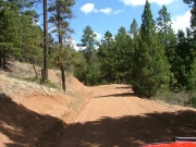 trail_near_long_hollow_road