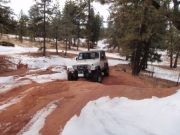 roger_on_the_trail_part_1