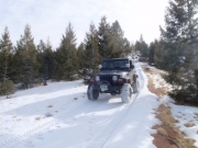 terry_on_the_trail_part_1