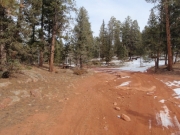 trail_part_2