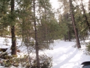 trail_part_5