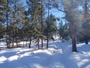 trail_part_2