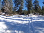 trail_part_3