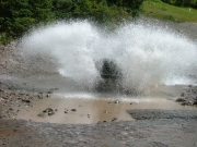 bob_s_in_a_puddle