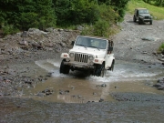 brian_in_a_puddle