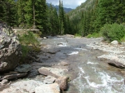 imogene_creek