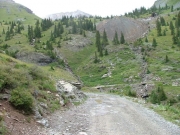 tailings