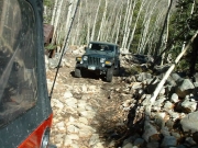 ladd_in_the_rock_garden