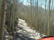rock_garden