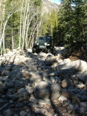 bob_in_the_rock_garden_part_1
