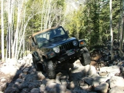 bob_in_the_rock_garden_part_2