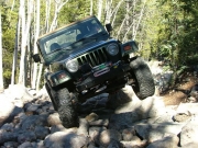 bob_in_the_rock_garden_part_3