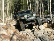 bob_in_the_rock_garden_part_6