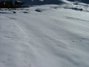 buried_trail