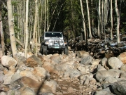 cheryl_in_the_rock_garden_part_5