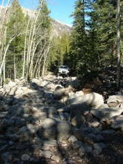 dane_in_the_rock_garden_part_1