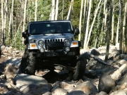 dane_in_the_rock_garden_part_3