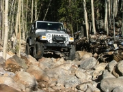 dane_in_the_rock_garden_part_4