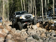 dane_in_the_rock_garden_part_5
