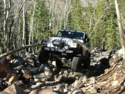 dane_in_the_rock_garden_part_6
