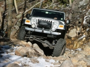 dane_in_the_rock_garden_part_7