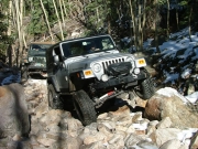 dane_in_the_rock_garden_part_8