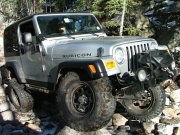 dane_in_the_rock_garden_part_9