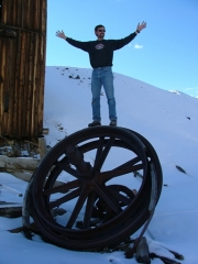 don_at_the_top