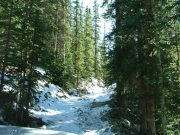 snowy_trail