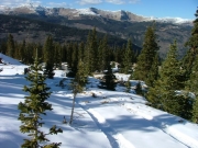 tracks_in_the_snow